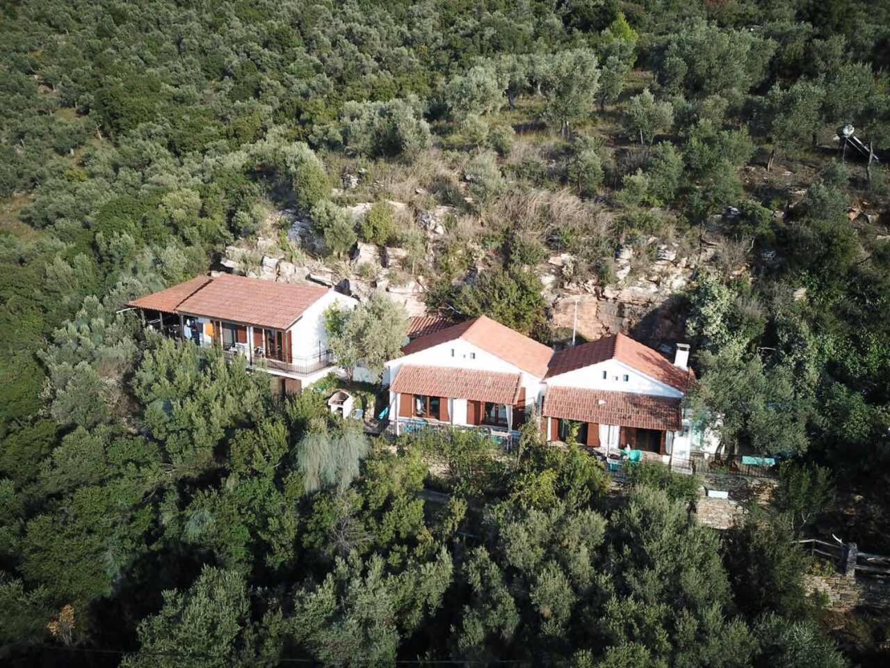 Dimitra Apartments Miliá Kültér fotó
